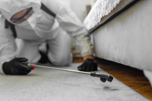 Professional Bed Bug Control technician working in Hillsboro, TX