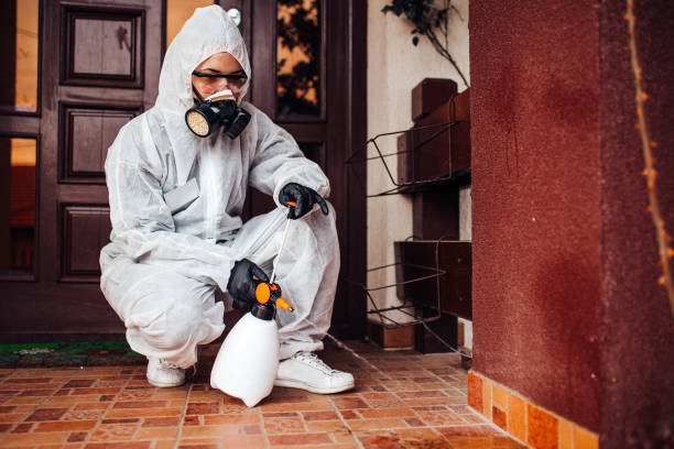 Reliable Bed Bug Control contractor in Hillsboro, TX by Nex Pest Control